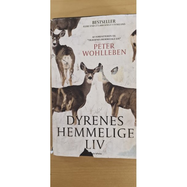 Wohlleben, Peter: Dyrenes hemmelige liv - (BRUGT - VELHOLDT dog med skr�beligt omslag hvor der er spor af brug)