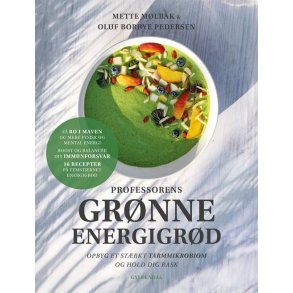 M�lbak, Mette: Professorens gr�nne energigr�d