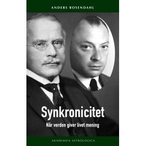 Rosendahl, Anders: Synkronicitet