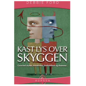 Ford, Debbie: Kast lys over skyggen