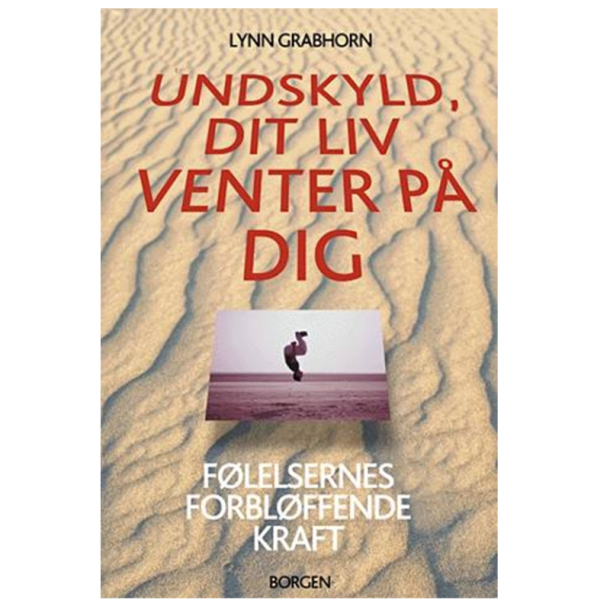 Grabhorn, Lynn: Undskyld, dit liv venter p dig