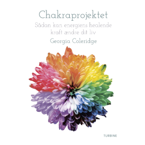 Coleridge, Georgia: Chakraprojektet