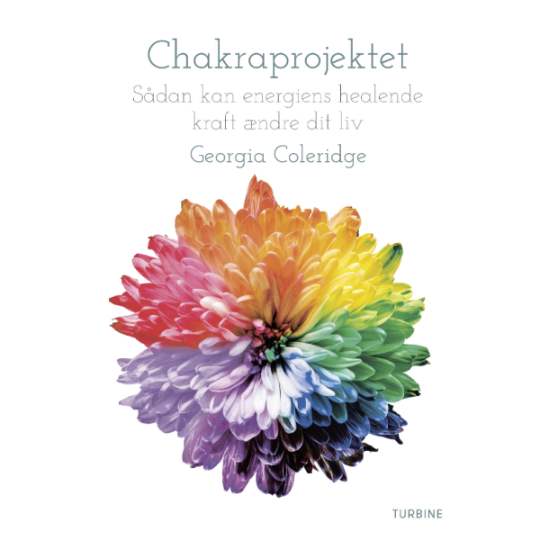 Coleridge, Georgia: Chakraprojektet