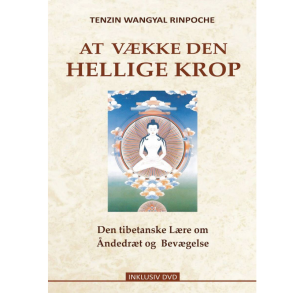 Rinpoche, Tenzin Wangyal: At vkke den Hellige Krop 