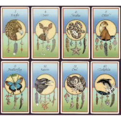 Sams, Jamie: Medicine Cards Set
