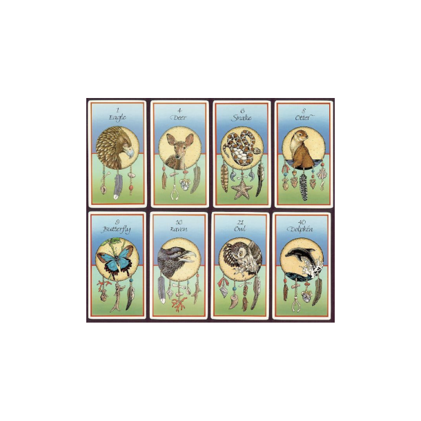 Sams, Jamie: Medicine Cards Set