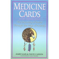 Sams, Jamie: Medicine Cards Set