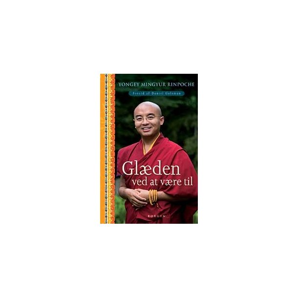 Mingyur Rinpoche, Yongey: Glden ved at vre til