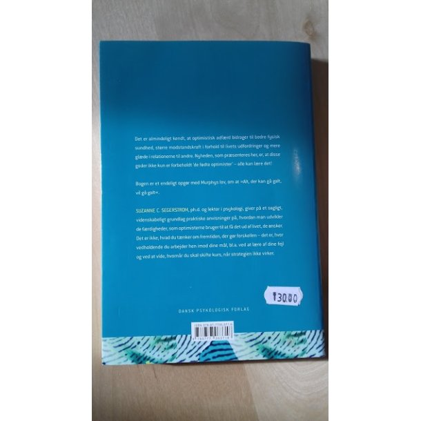 Segerstrom, Suzanne C.: Bryd Murphys lov