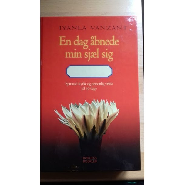 Vanzant, Iyanla: En dag bnede min sjl sig