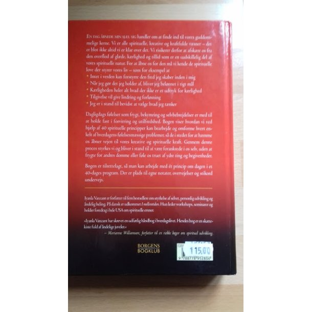 Vanzant, Iyanla: En dag bnede min sjl sig