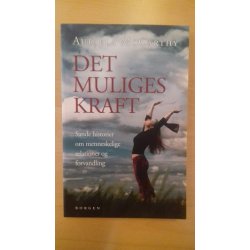 Mccarthy, Auriela: Det muliges kraft