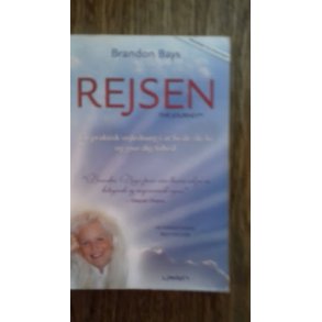 Bays, Brandon: Rejsen