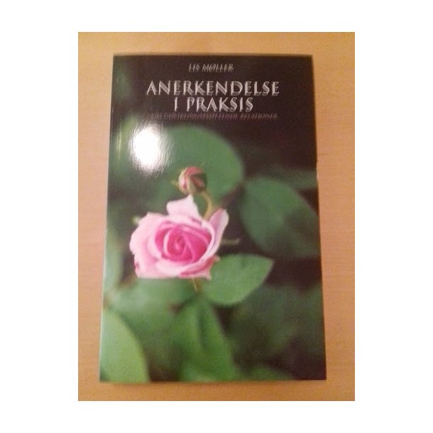 Mller, Lis: Anerkendelse i praksis