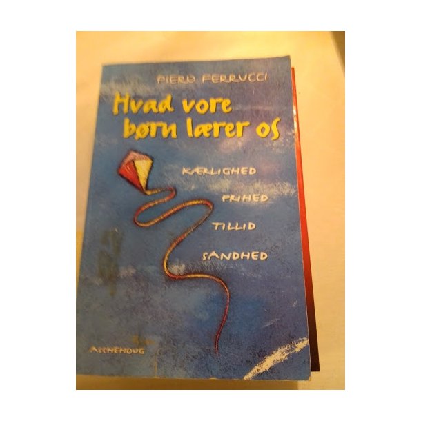 Ferrucci, Piero: Hvad vore brn lrer os