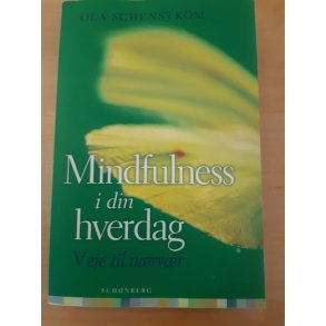 Schenstrm, Ola: Mindfulness i din hverdag