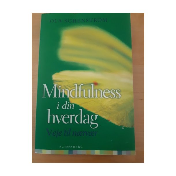 Schenstrm, Ola: Mindfulness i din hverdag
