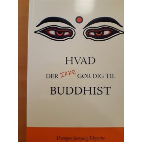 Khyentse, Dzongsar Jamyang: Hvad der ikke gr dig til buddhist - (BRUGT - VELHOLDT)