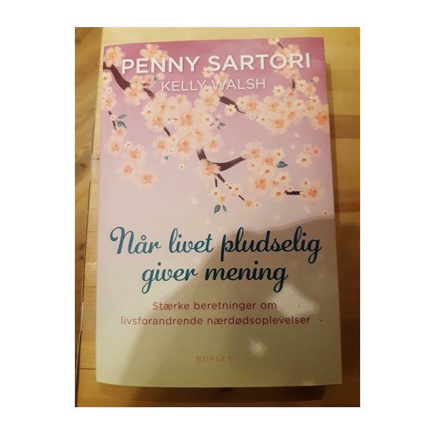 Sartory, Penny: Nr livet pludselig giver mening - (BRUGT - VELHOLDT)