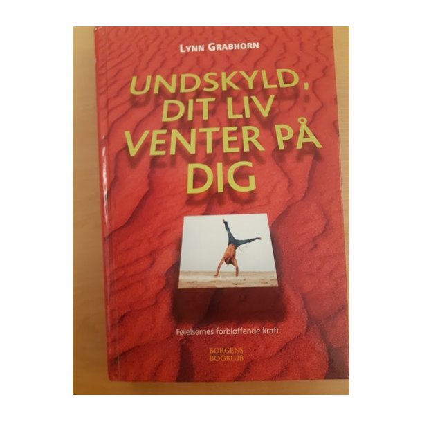 Grabhorn, Lynn: Undskyld dit liv venter p dig