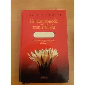 Vanzant, Iyanla: En dag bnede min sjl sig - (BRUGT - VELHOLDT)