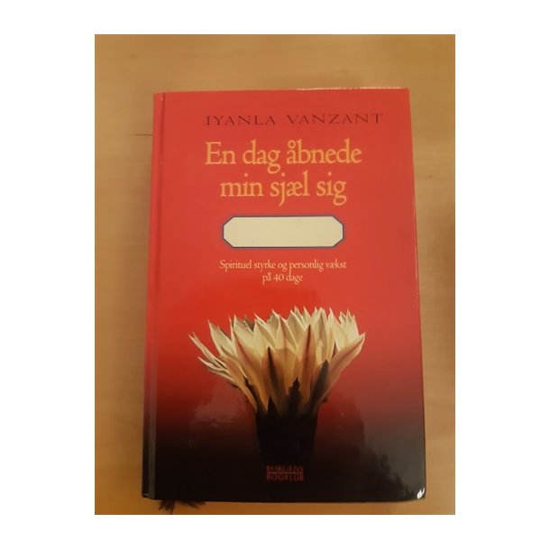Vanzant, Iyanla: En dag bnede min sjl sig - (BRUGT - VELHOLDT)