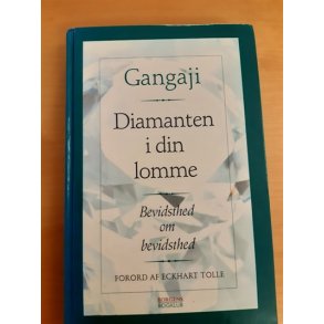 Gangaji: Diamanten i din lomme - (BRUGT - VELHOLDT)