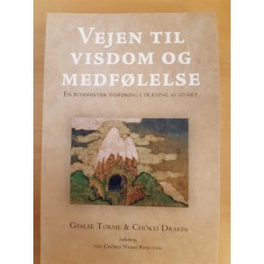 Gyalse Tokme & Chkyi Drakpa: Vejen til visdom og medflelse  - (BRUGT - VELHOLDT)