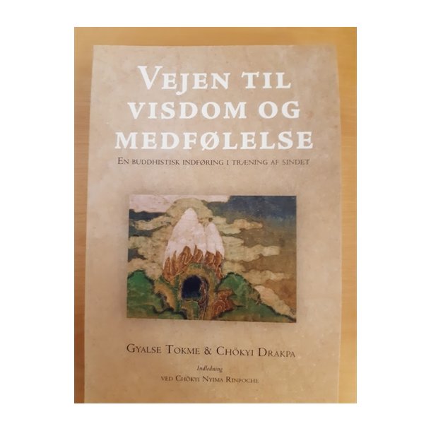 Gyalse Tokme & Chkyi Drakpa: Vejen til visdom og medflelse  - (BRUGT - VELHOLDT)