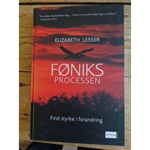 Lesser, Elizabeth: FNIKS Processen  - (BRUGT - VELHOLDT)
