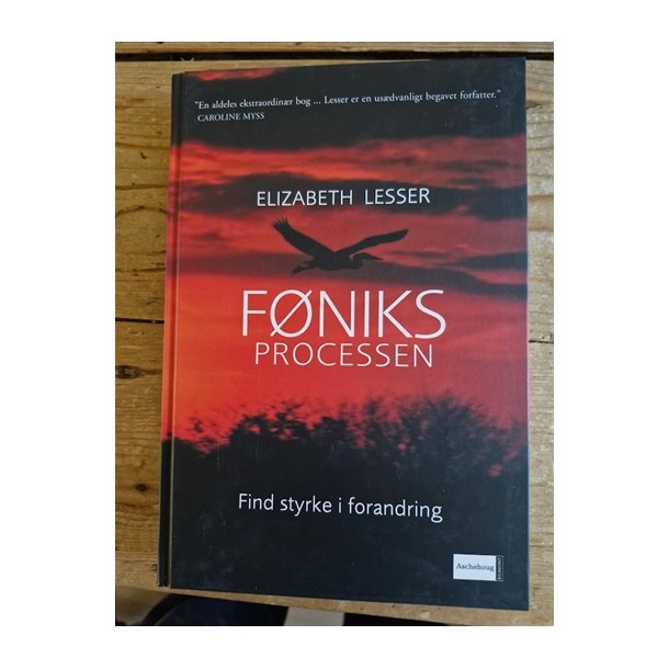 Lesser, Elizabeth: FNIKS Processen  - (BRUGT - VELHOLDT)