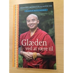 Yongey Mingyur Rinpoche: Glden ved at vre til  - (BRUGT - VELHOLDT)