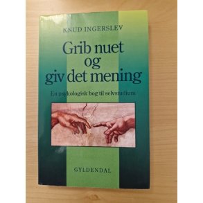 Ingerslev, Knud: Grib nuet og giv det mening  - (BRUGT - VELHOLDT)