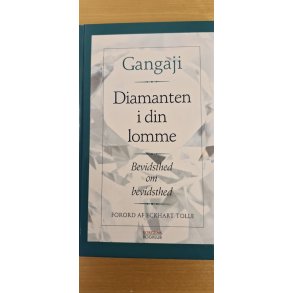 Gangaji: Diamanten i din lomme  - (BRUGT - VELHOLDT)