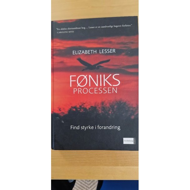 Lesser, Elizabeth: FNIKS Processen  - (BRUGT - VELHOLDT)