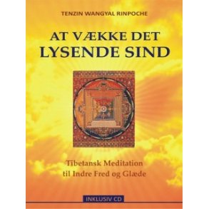 Wangyal, Tenzin: At vkke det lysende Sind