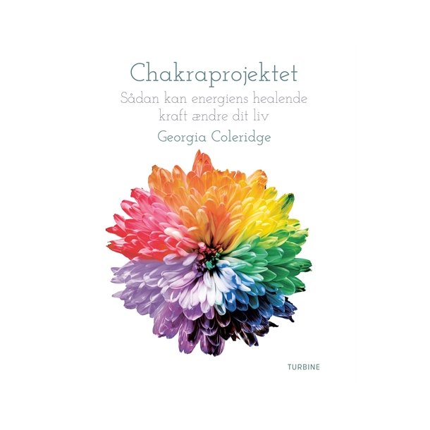 Coleridge, Georgia: Chakraprojektet