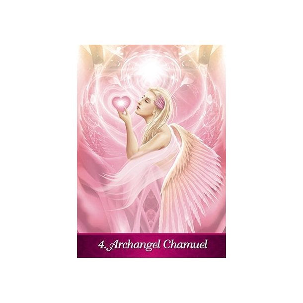 Dreyer, Kim: Angel Inspiration 