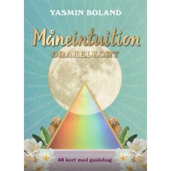 Boland, Yasmin: Mneintuition