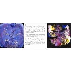 Brisson, Helle: Ildengle