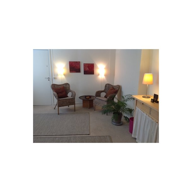 Kursuslokale og behandlerlokale, dag