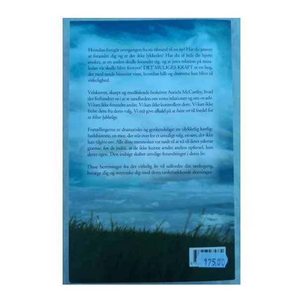 McCarthy, Auriela: Det muliges kraft